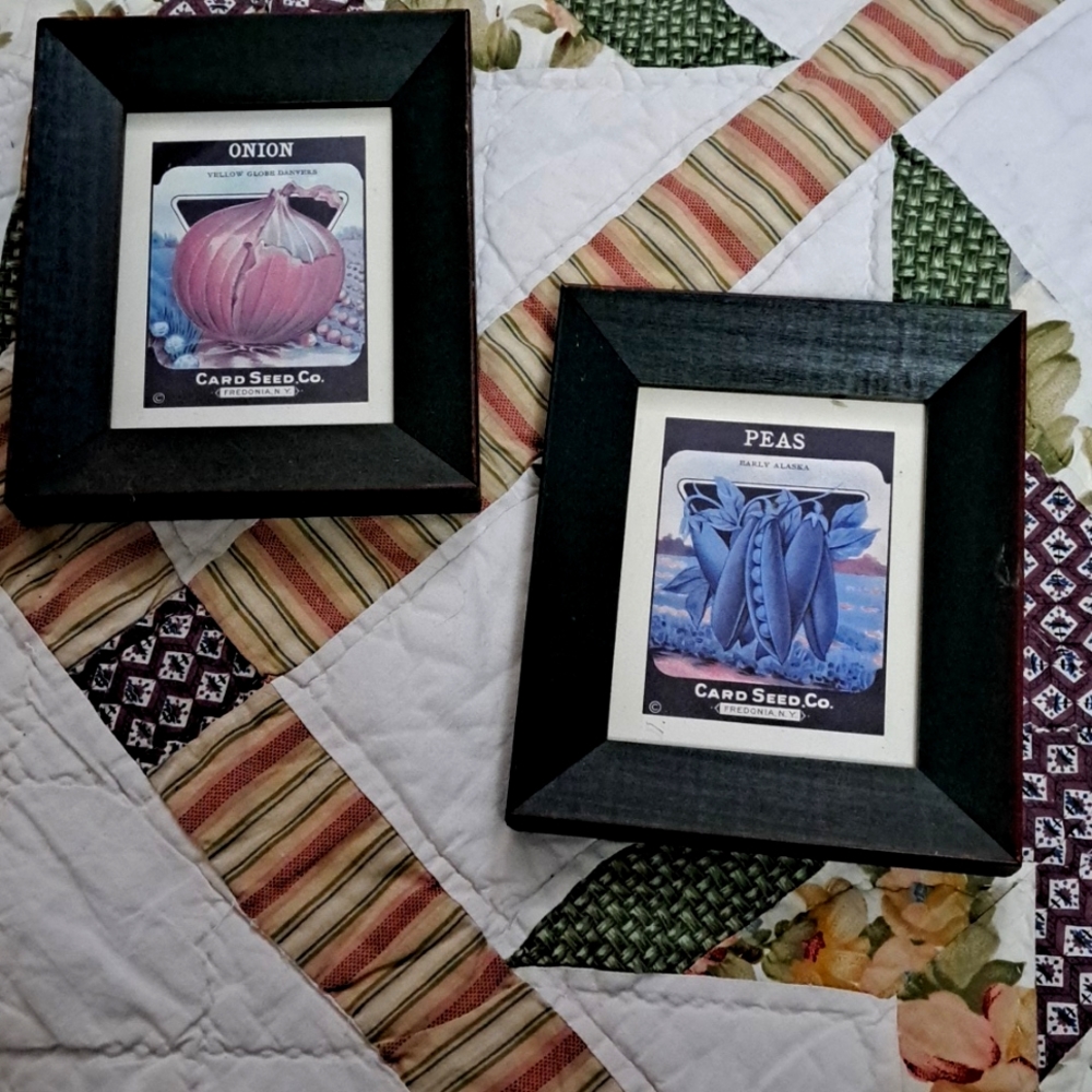Set of 2 Country art pictures